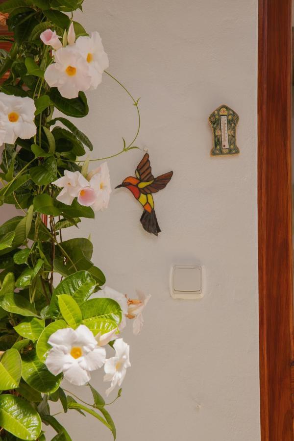 Casa Carmen Villa Haría Exteriör bild